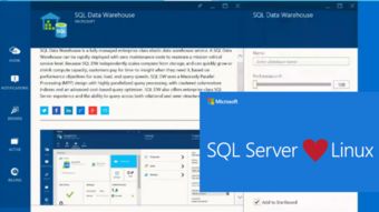 微軟稱SQL Server為最成功的Linux服務(wù)器軟件產(chǎn)品